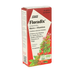 Floradix 84caps.